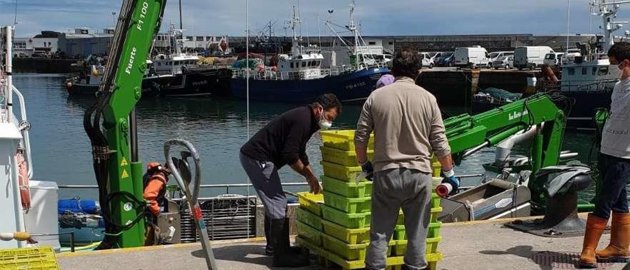 Descarga de anchoa ayer en Ondarroa, con barcos de cerco gallegos al fondo. // B.C.