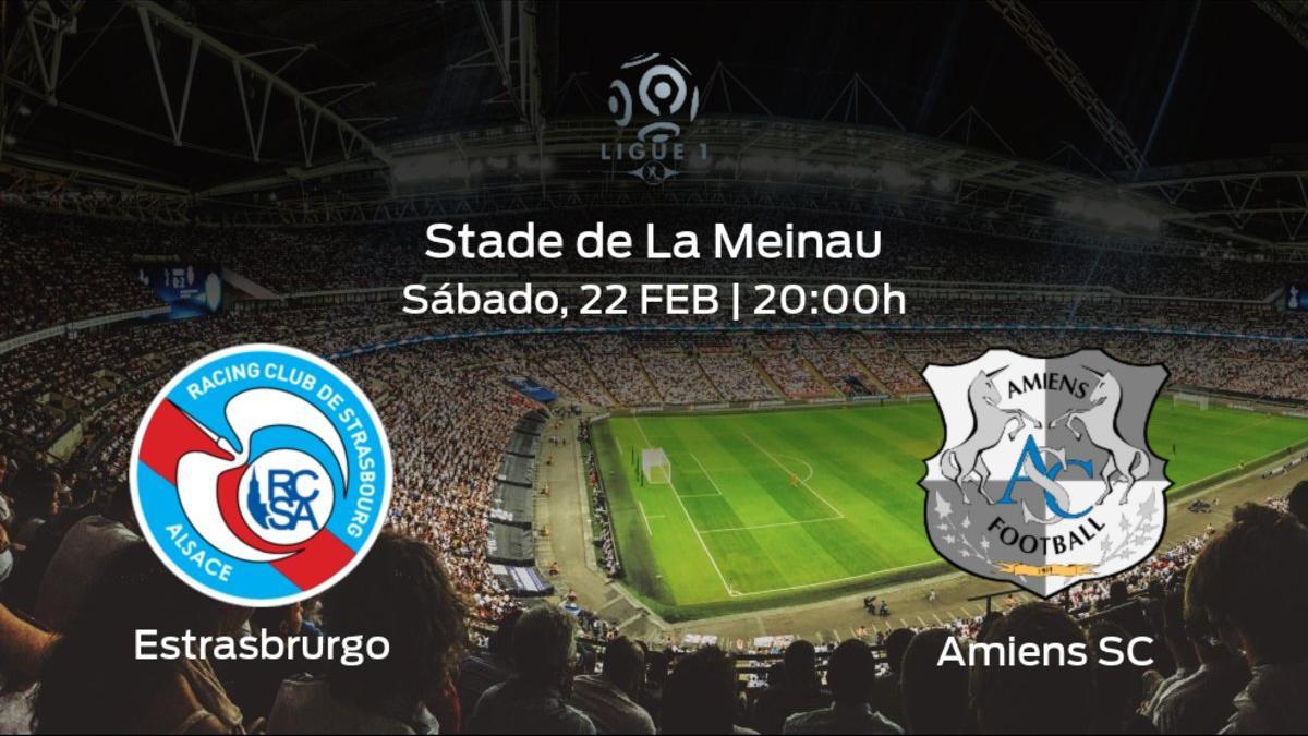 Previa del encuentro: el Racing Estrasburgo recibe al Amiens SC