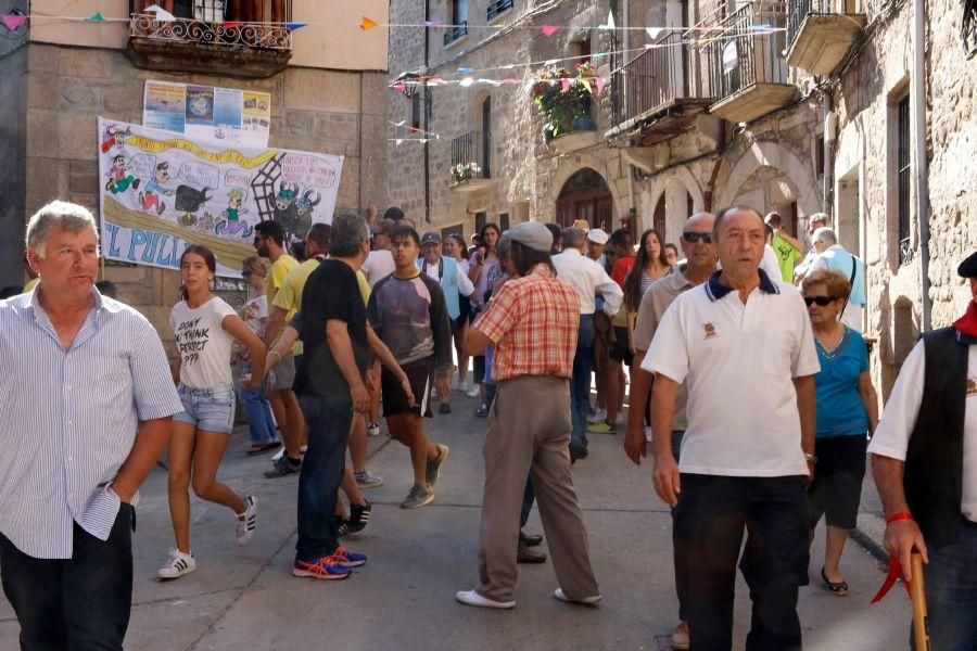 Fiestas en Zamora: Último encierro en Fermoselle