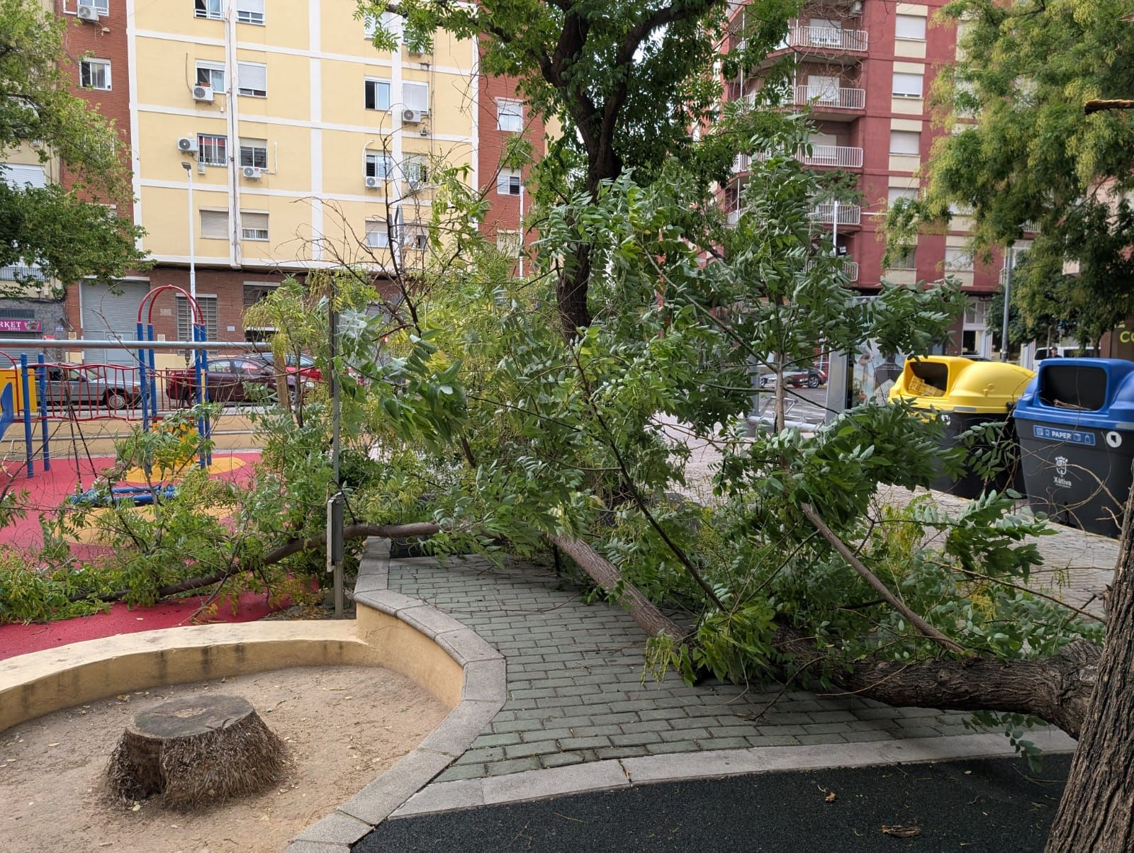 Coches abollados y árboles rotos por la granizada en Xátiva