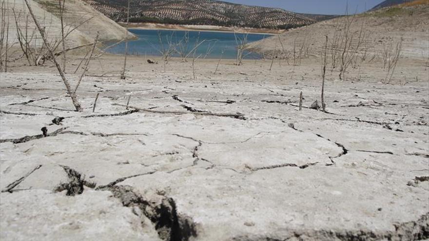 La falta de agua y los precios bajos lastran el recién acabado año agrícola cordobés