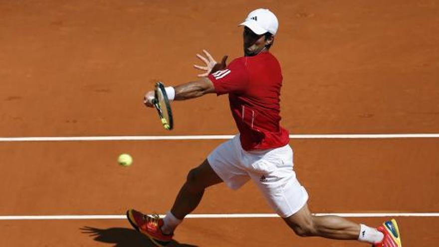 Fernando Verdasco