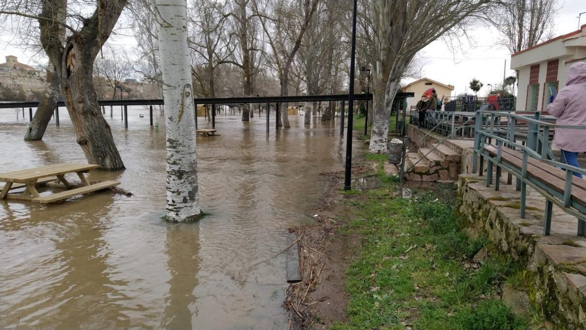 Imágenes de la crecida de los ríos en Zamora