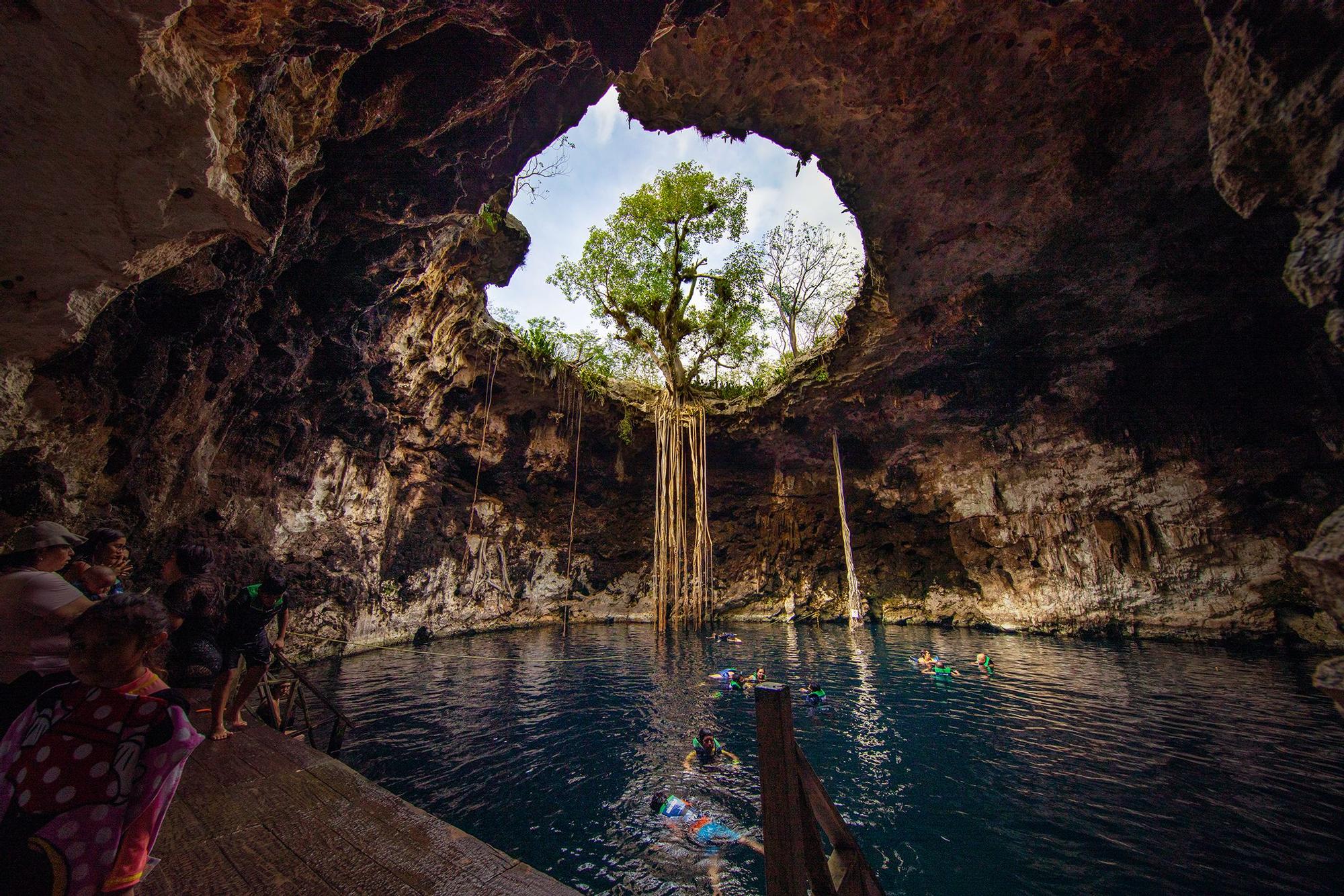 Los cenotes son pozos naturales de agua dulce y cristalina formadas por la erosión de la piedra caliza.