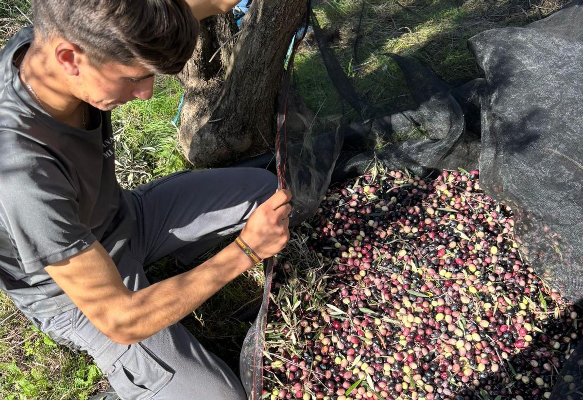 David durante su jornada laboral en el campo.  | CEDIDA