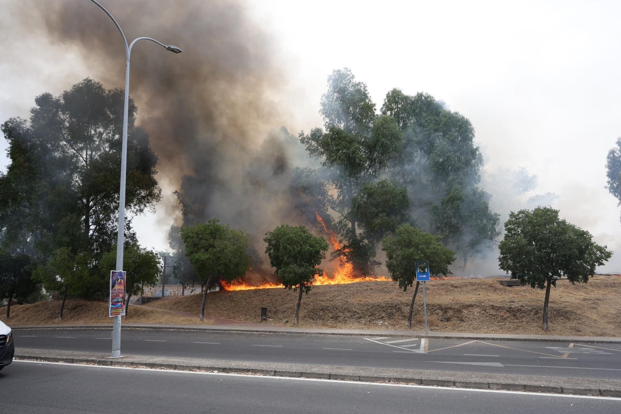 Incendio de pastos en unas pistas de fútbol de La Mejostilla