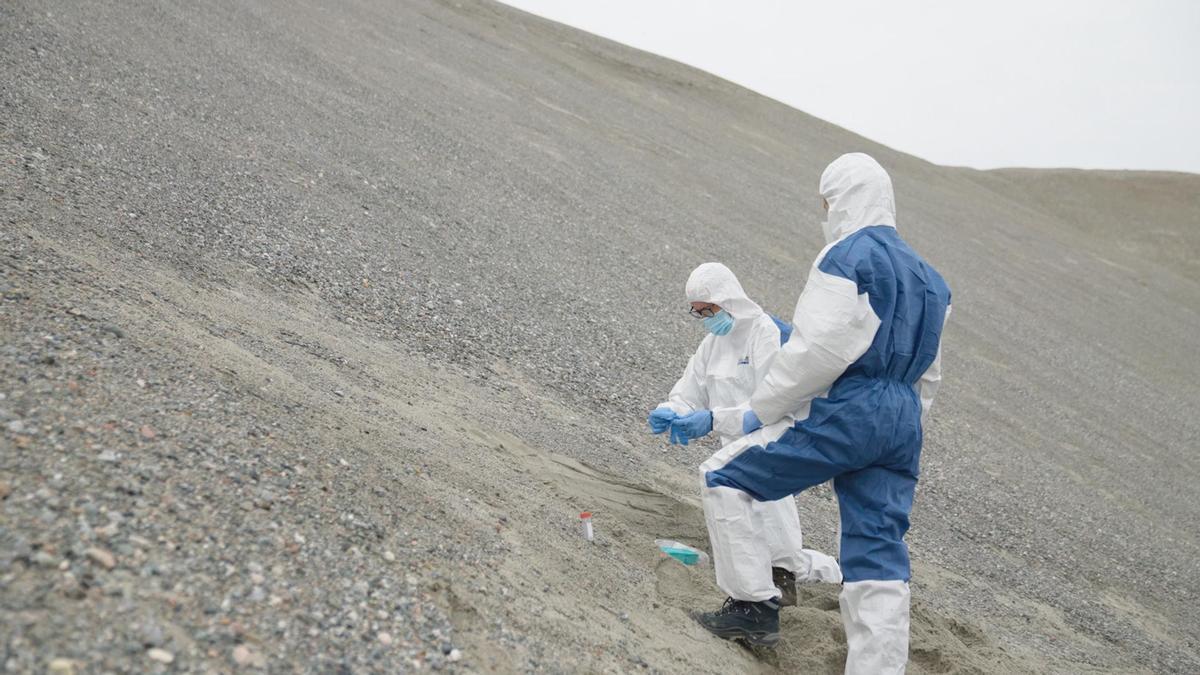 Un equipo de investigadores recoge muestras del suelo de Groenlandia.