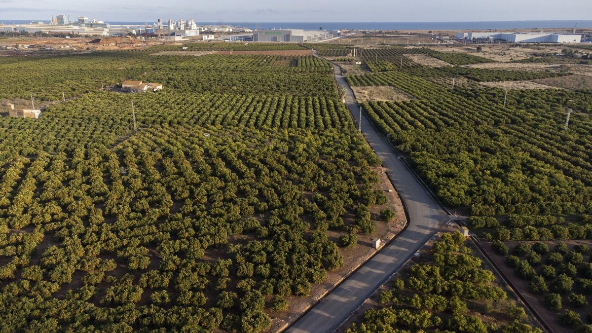 Terrenos que ocupará la gigafactoría de Volkswagen en Sagunt.