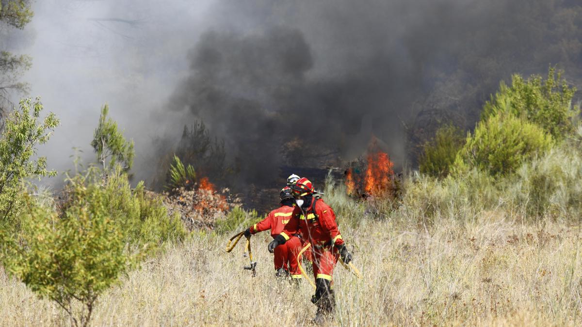 Varios efectivos de la UME tratan de apagar una lengua de fuego en el incendio de Ateca, desatado el 18 de julio en la Comarca de Calatayud.