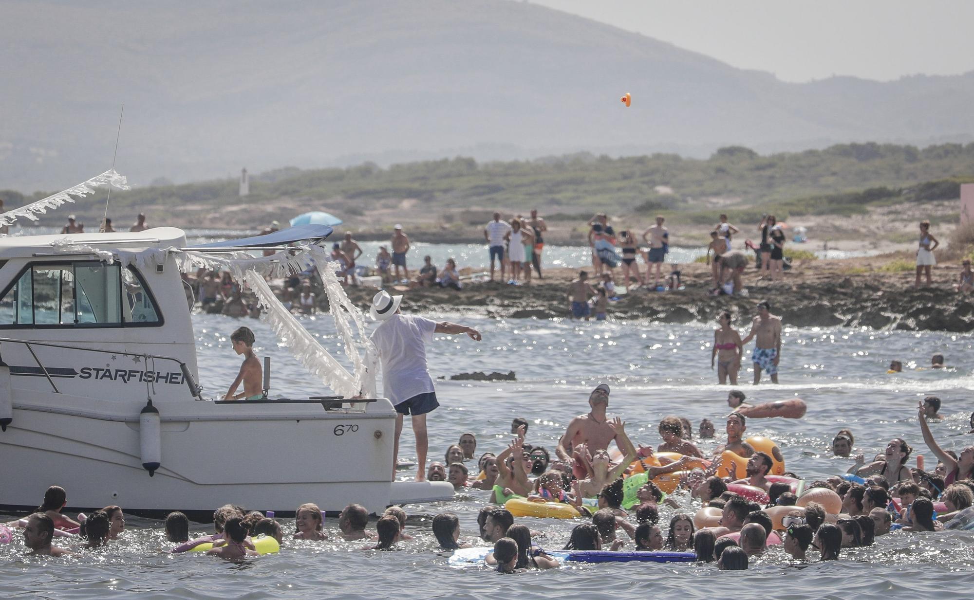 Al agua patos en Can Picafort