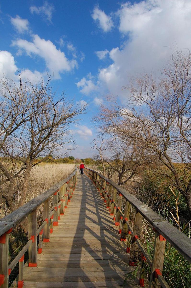 Explorar las Tablas de Daimiel