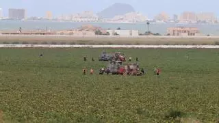 Europa incluye la contaminación por nitratos de la Región de Murcia en su condena a España