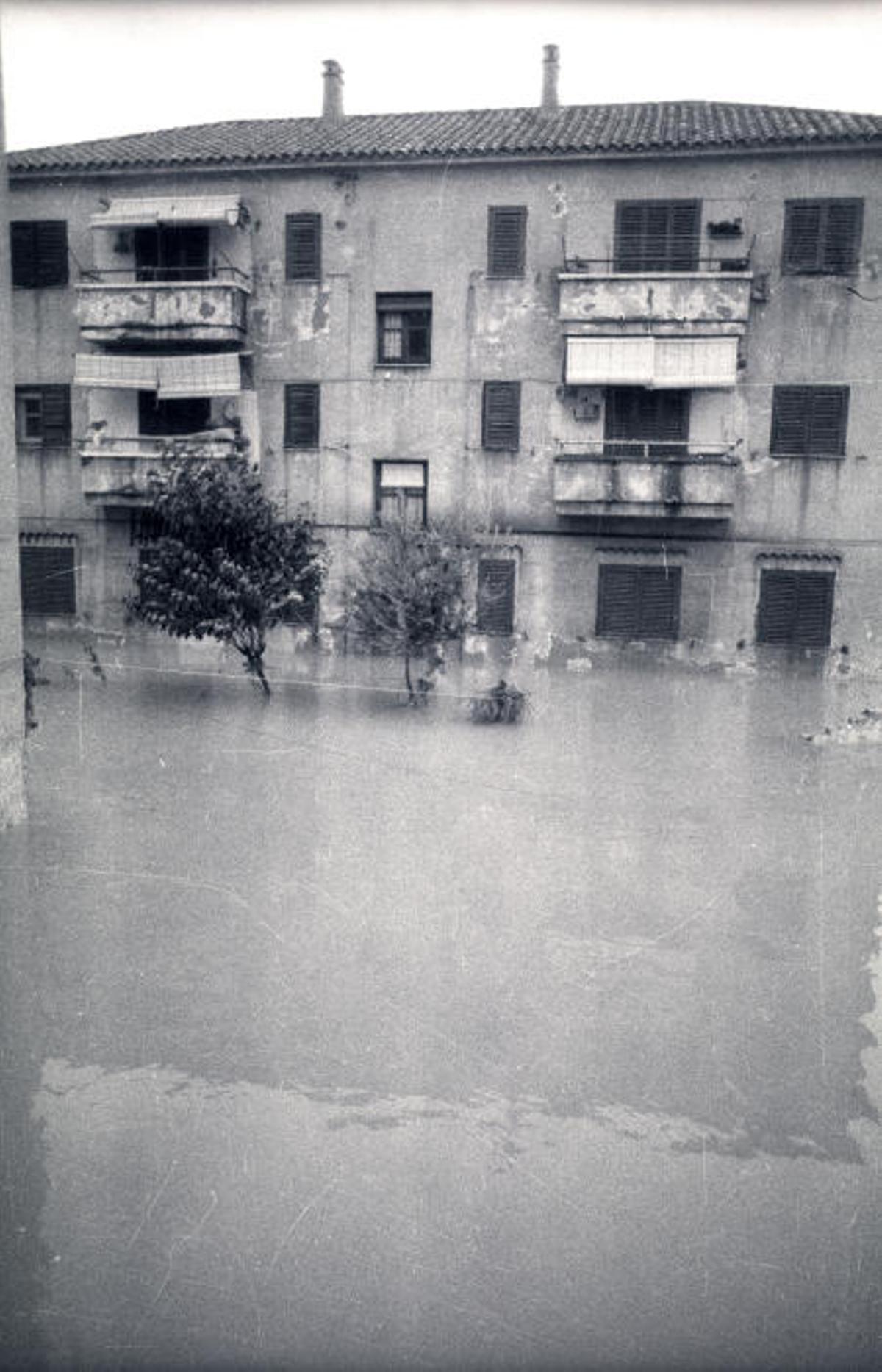 Se cumplen 37 años de una de las riadas más catastróficas de Alicante.