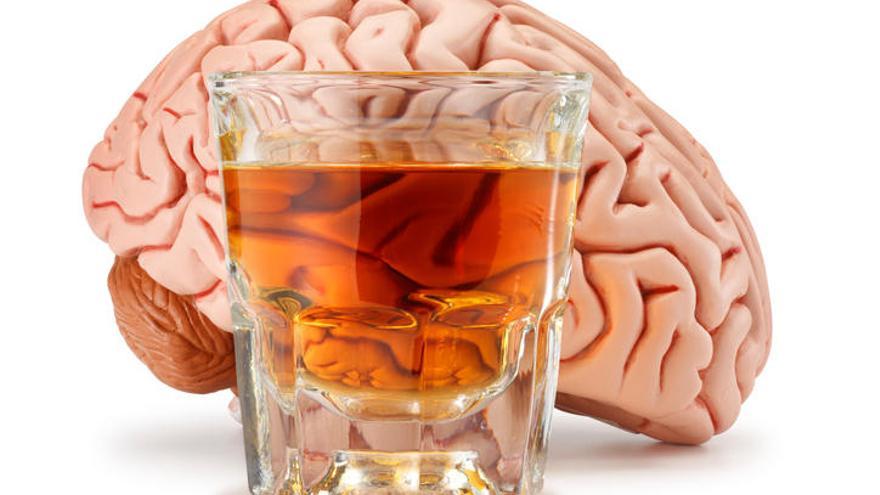 El consumo moderado de alcohol, ¿afecta a tu cerebro?
