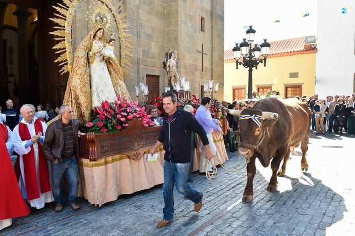 Fiesta de San Sebastián. Feria de ganado y ...