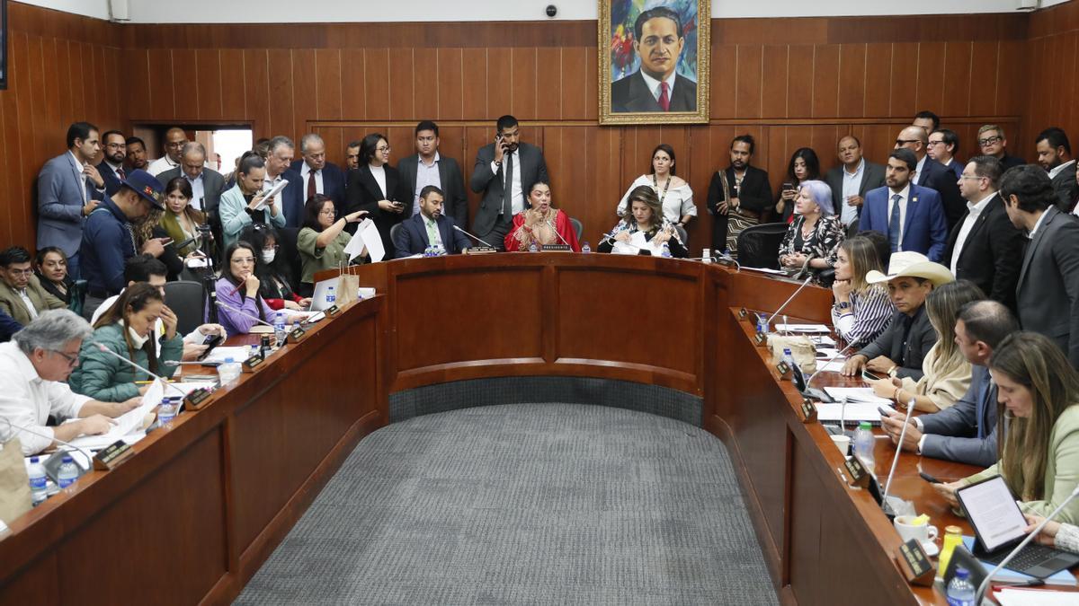 La presidenta de la Comisión Séptima del Senado, Martha Isabel Peralta Epieyu (c), habla este miércoles durante un debate en la sala de la Comisión, en Bogotá (Colombia).