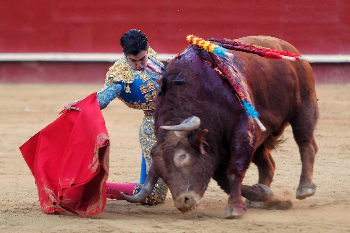 Tarde de toros de Santiago Domecq en la Feria de Fallas con Perera, Víctor Hernández y Marco Pérez