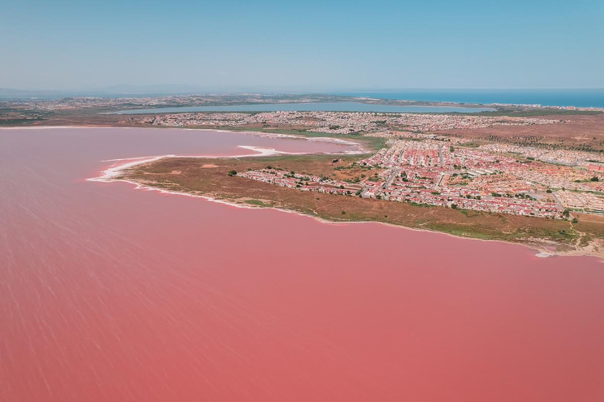 La laguna rosa es el refugio y hábitat natural de numerosas aves.