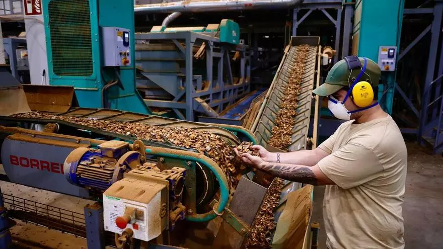 La planta de almendras de Dcoop en Córdoba