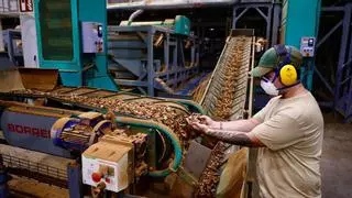Dcoop: 22 millones de inversión para operar en Córdoba el mayor almacén de almendra de Europa