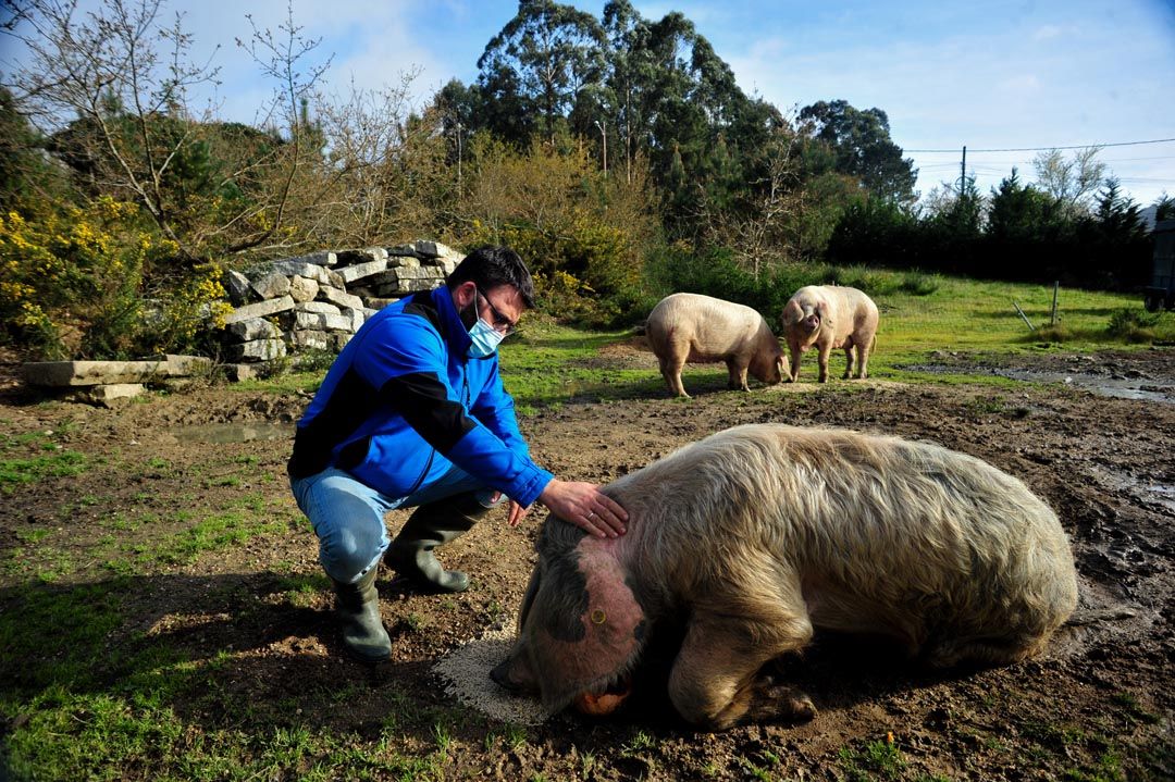 El 2021 en imágenes en Arousa