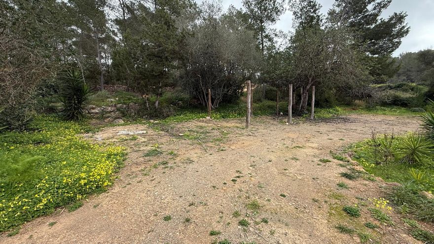 Galería: Derribadas unas cabañas ilegales de un complejo ecoturístico en Sant Miquel