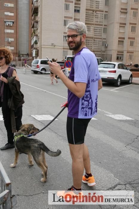 Media Maratón de Murcia: grupos y corredores