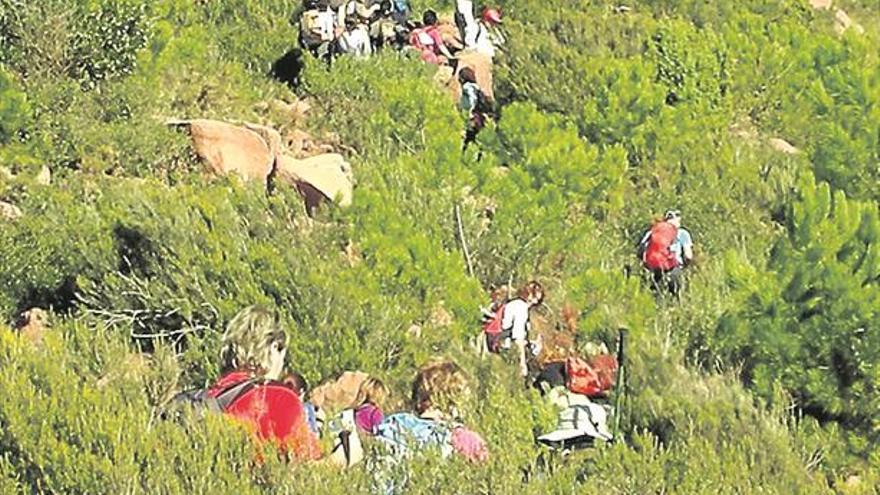 Benicàssim prevé usar la ganadería para evitar incendios en el Desert