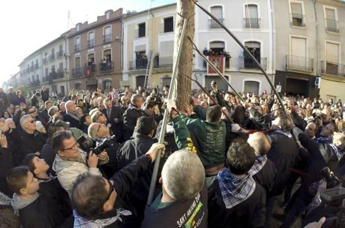 Canals disfruta con la Plantà del Primer Pi de la Foguera de Sant Antoni de 2015
