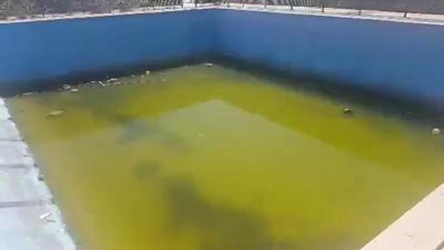 El PSOE denuncia que la piscina municipal de Alcantarilla está en ruinas