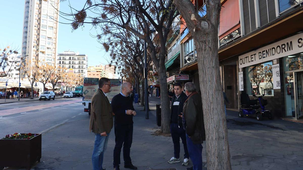 Los ediles de Jarines y Obras han visitado la zona, donde el lunes empezará la retirada de 31 árboles