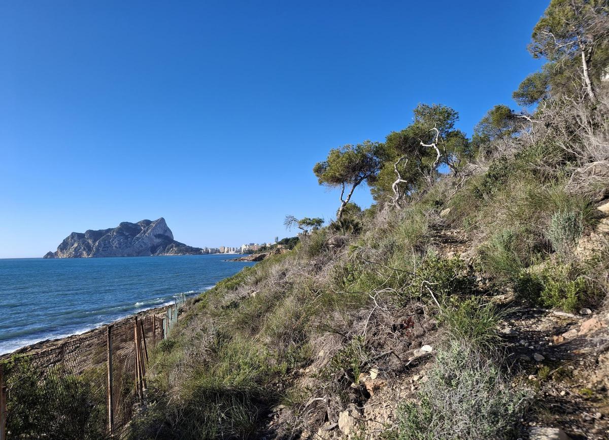 La ladera que da al mar del Tossal de l'Asprar