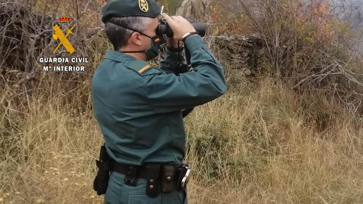 Un guardia civil en vigilancia de incendios forestales