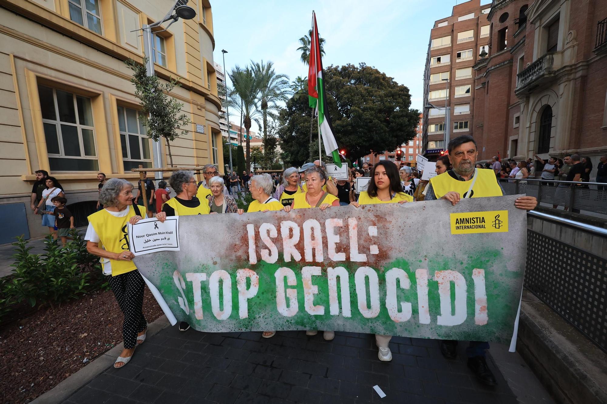 Galería de imágenes: Castellón sale a la calle en defensa de Palestina