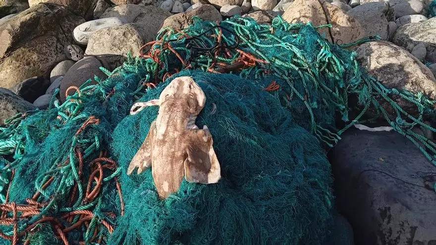 Sacan la red fantasma de la Bahía de El Confital