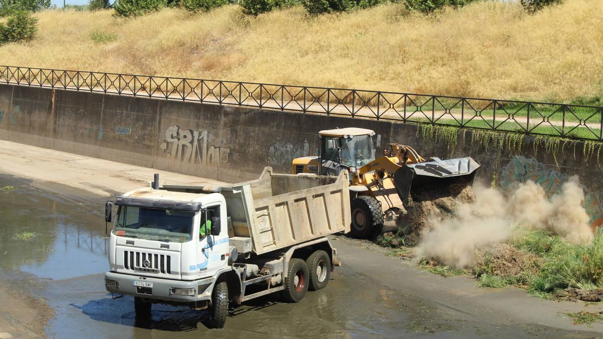 Trabajos de limpieza en el cauce del río Rivillas a su paso por Badajoz.