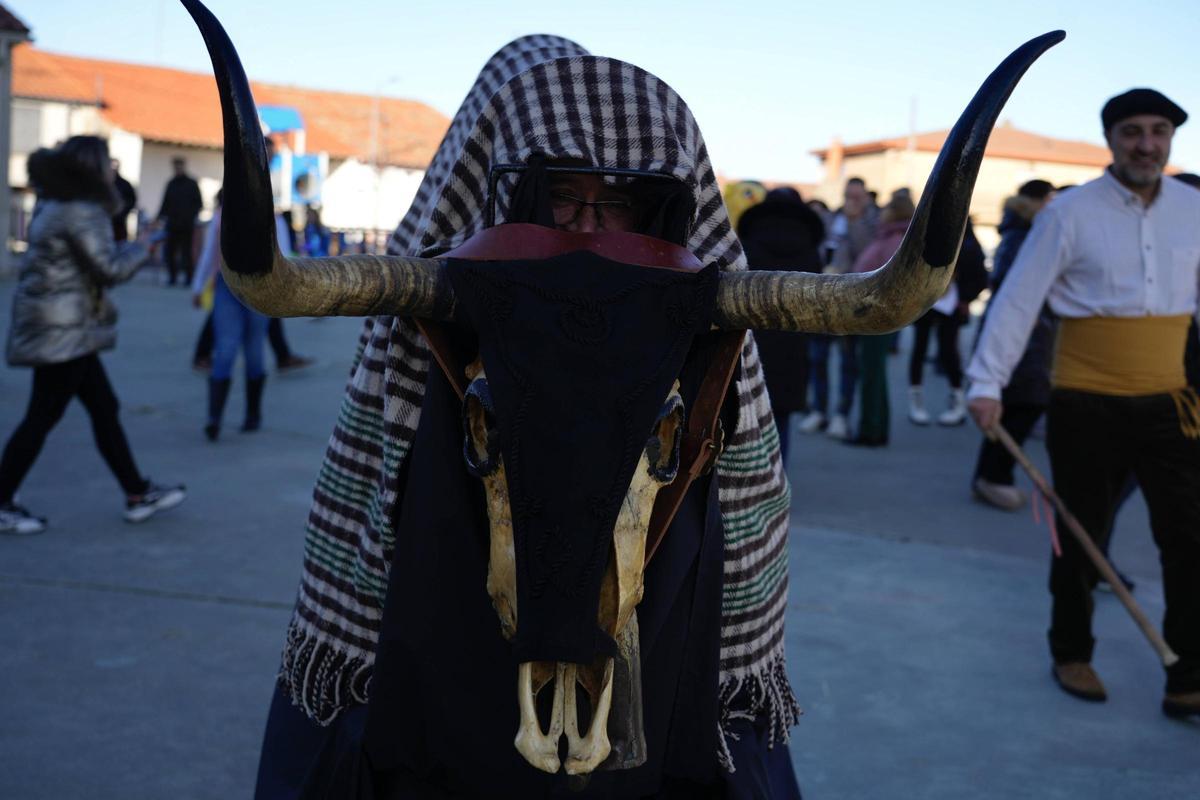 Pereruela rescata del olvido a su Vaca Antrueja por segunda vez Pereruela rescata del olvido a su Vaca Antrueja por segunda vez