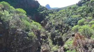 Herida una senderista al sufrir una caída en un barranco de Canarias