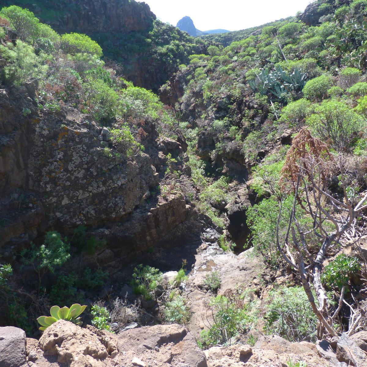 Archivo - Barranco de Las Vacas, Temisas, Agüimes, Gran Canaria, turismo, senderismo