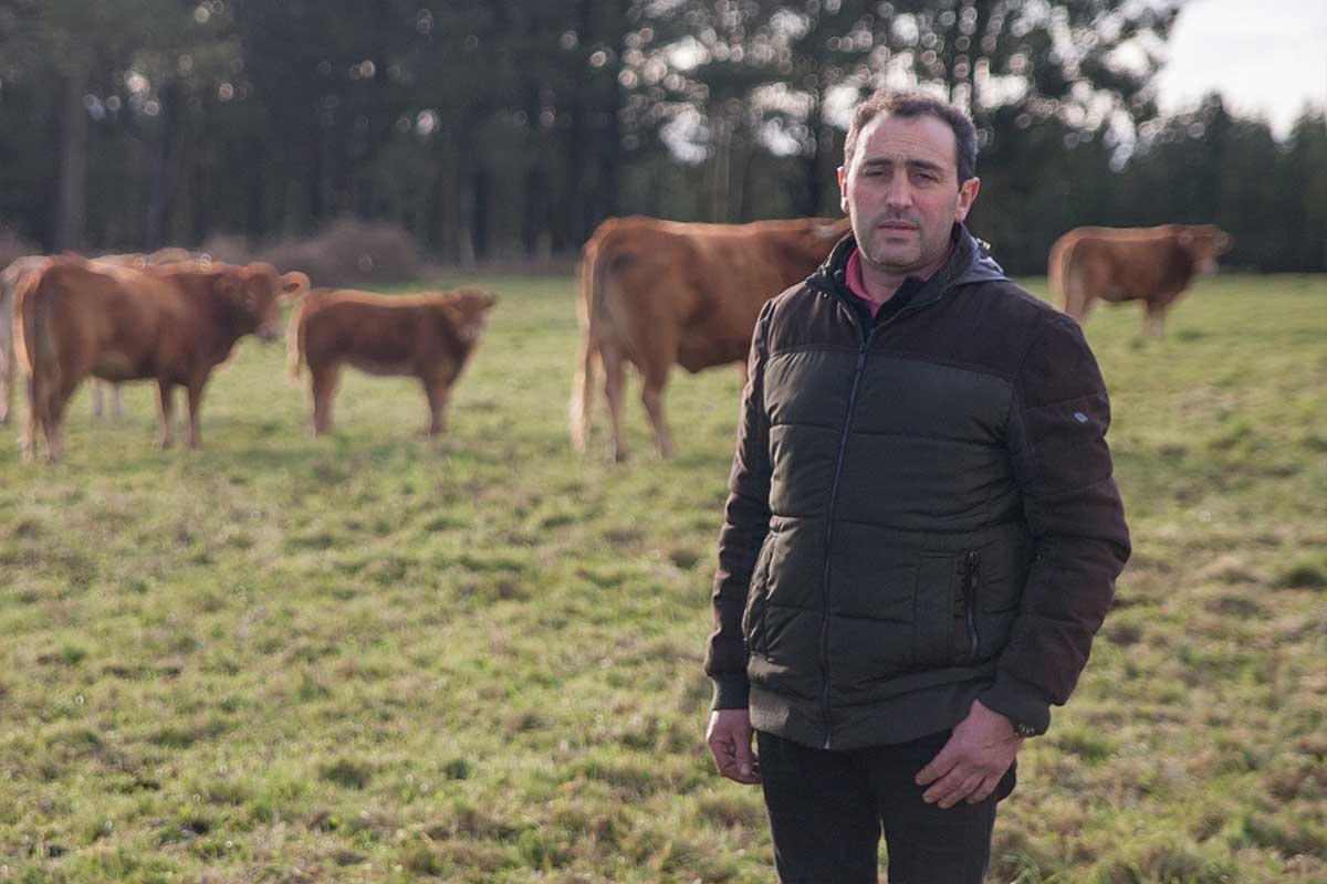Juan Carlos Quintela tiene una explotación de vacuno de carne en Camposancos.