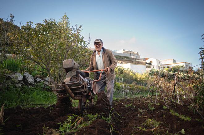 Las Lagunetas (Buenavista del Norte)