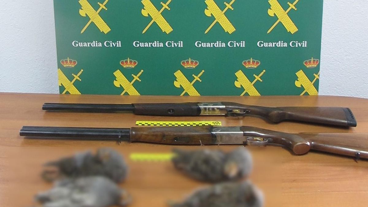 Armas y piezas incautadas.