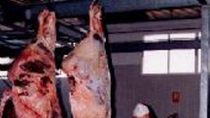 La falta de un camión obliga a suprimir la distribución de carne