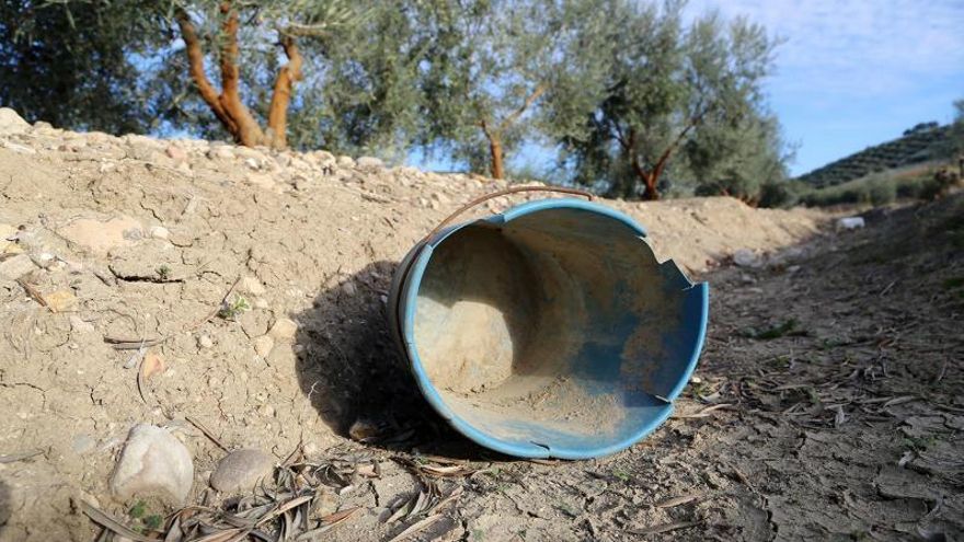 Los expertos coinciden en señalar que el principal reto al que se enfrenta la agricultura andaluza es la falta de agua.