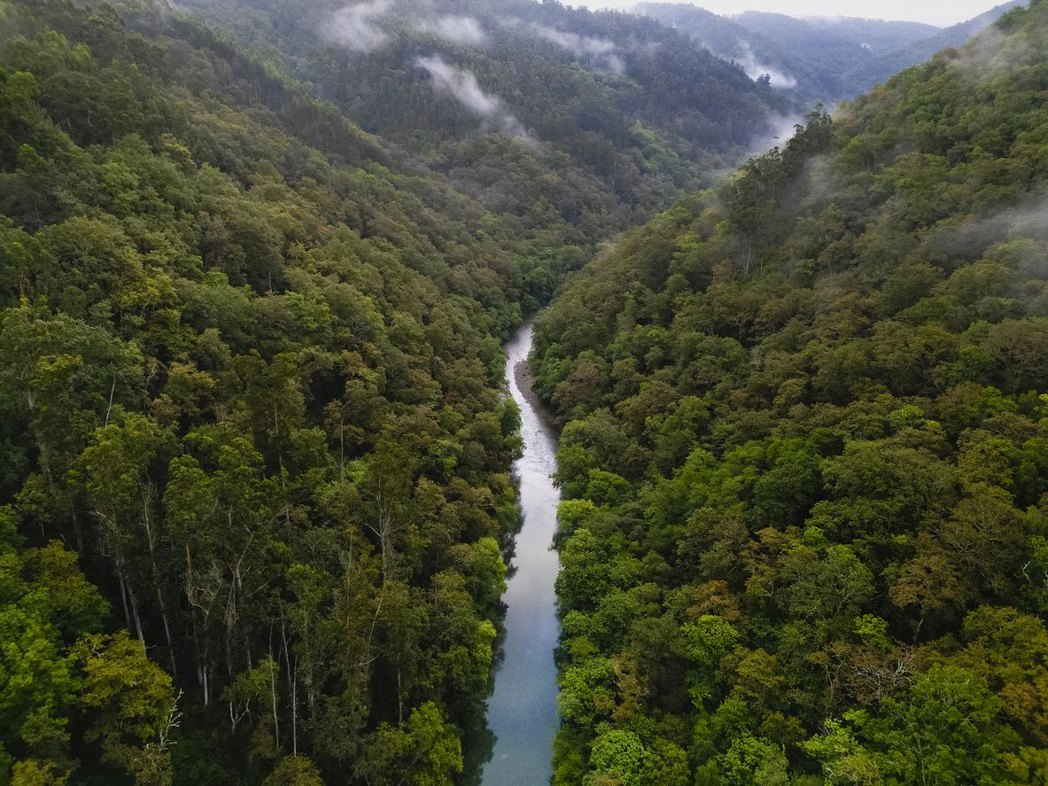 Es uno de los bosques atlánticos de ribera mejor conservados de toda Europa.