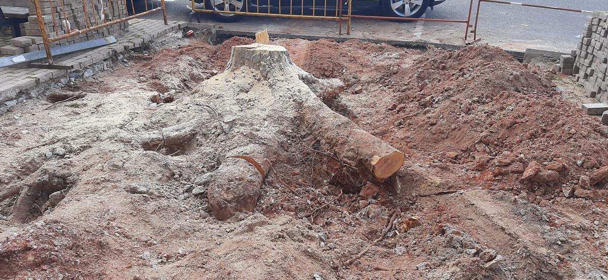Adiós a un árbol de Jiménez de Quesada