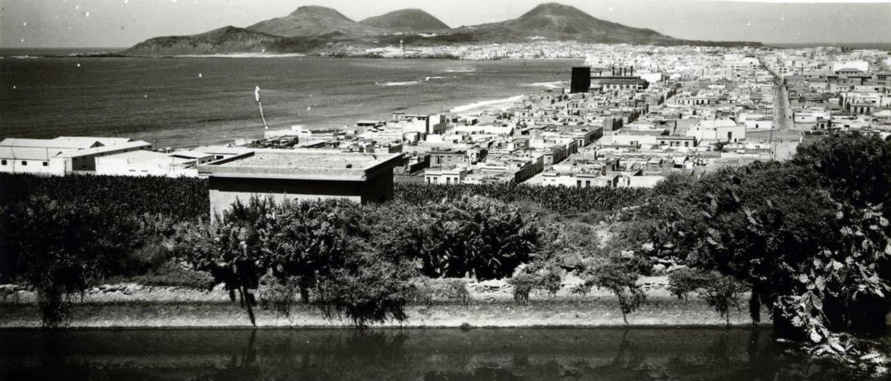 Las Palmas de Gran Canaria : Viaje a la memoria de Guanarteme - La Provincia