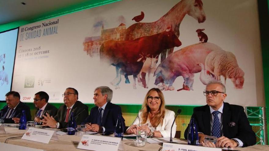 Veterinarios de toda España analizan en Córdoba la salud de la cabaña ganadera