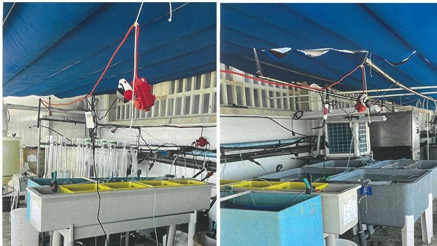 Personal del IEO ya denunció en 2015 la fuga de gases cancerígenos en Cabo Estai: «Tenía la nariz en carne viva»
