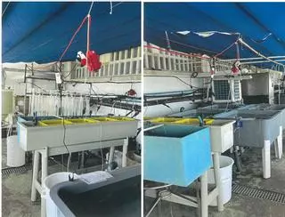 Personal del IEO ya denunció en 2015 la fuga de gases cancerígenos en Cabo Estai: «Tenía la nariz en carne viva»